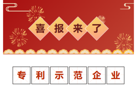 喜報！金華市專利示范企業(yè)！